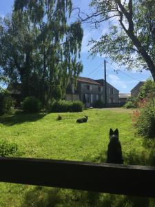 Appartements Le Gite du Petit Renard: A Tranquil Gite with pool : photos des chambres