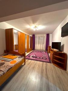 Apartament Băile Herculane