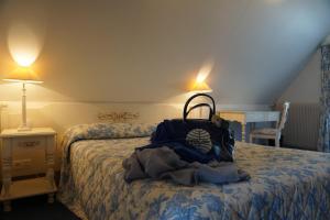Hotels Domaine de L'Arbrelle : Chambre Double Confort