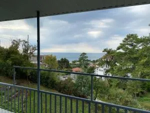 Дом на Каштаке - Gulripʼshi