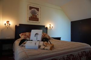 Hotels Domaine de L'Arbrelle : photos des chambres