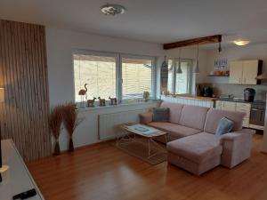 Apartment SKI-BIKE-HIKE, Vyšné Ružbachy