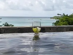 Le CAILLOU - La Moïse