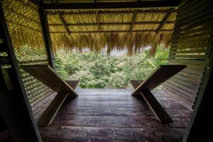 Buena Vista Surf Club