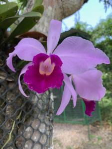 Casa privada con Piscina y BBQ en Anapoima