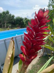 Casa privada con Piscina y BBQ en Anapoima