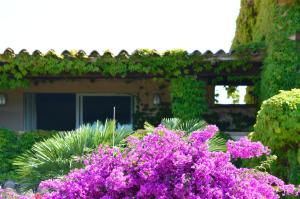 Residence Fenicia img53