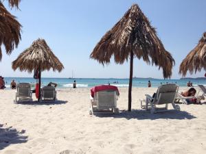 Residence Fenicia img55