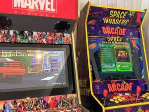 DEPARTAMENTO, VIVE PUCON SIN AUTO