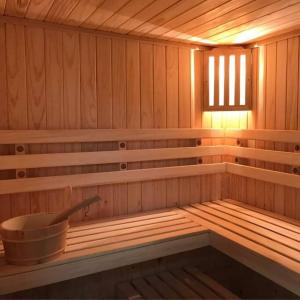 DEPARTAMENTO, VIVE PUCON SIN AUTO