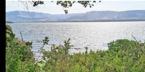 Milkwood Cabin Getaway