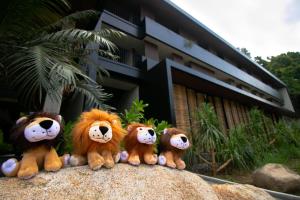 The Funny Lion - El Nido