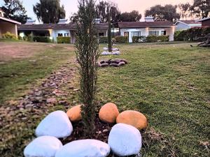 riverside villas nanyuki