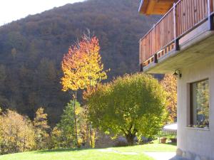 Joy Center - Val Pellice