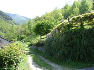 Joy Center - Val Pellice