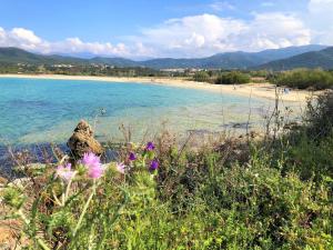 Maisons de vacances Villa Agliastru a 900m de la plage de Lozari : photos des chambres