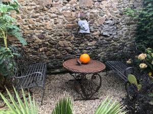 Maisons d'hotes chambre d'hote et gite du jardin des corsaires : Appartement - Vue sur Jardin