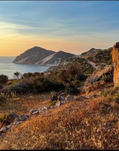 Echoes Milos