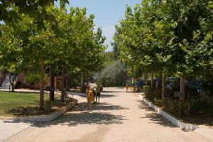 Fournia Village Ilia Greece