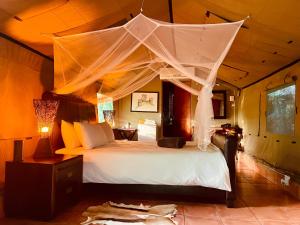 Nyala Luxury Safari Tents
