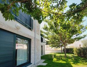 Queen Beach Apartments 