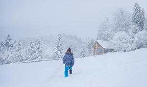 Górna Chata Mountains Chalet Stable Cottage