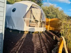 Time Stops Here At Home - Riez