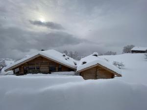 Chalets Lodge Les Murailles : photos des chambres