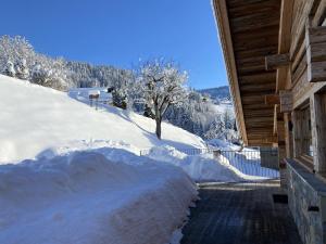 Chalets Lodge Les Murailles : photos des chambres