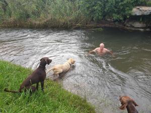 Plain Champagne Guest Farm, Champagne Valley