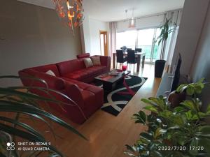 New City Park Apartment in Ponta Delgada