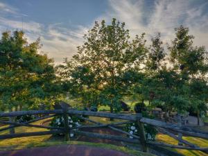 New City Park Apartment in Ponta Delgada