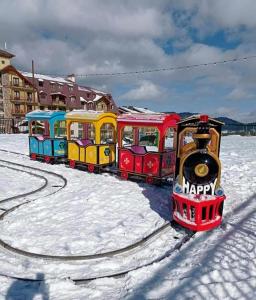 Bakuriani Crystal Loft 406