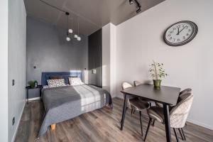 Cosy studio apartment in Ridzenes residence