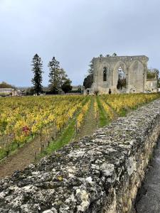 Maisons de vacances Les 2 glycines Au coeur des vignobles et de parcours de golfs : Maison 3 Chambres