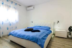 Modern villa Maeni with private pool in Pula