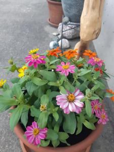 Ferienwohnungen am Berghof