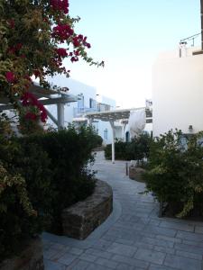 Mare Mare Mykonos Myconos Greece