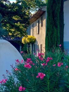 B&B / Chambres d'hotes Les Jardins de Sitaara : photos des chambres