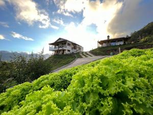 La Casita de Charo 2, vive y siente el amor, creando recuerdos de vida!!