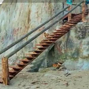 Casas lindas no paraiso!