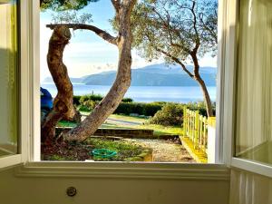 Colibrì by SolturElba