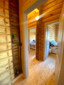 Вила Брезите