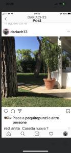 Gli Ulivi Rosamarina Ostuni