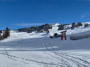 Appartements Studio Chamrousse, 1 piece, 4 personnes - FR-1-549-123 : photos des chambres