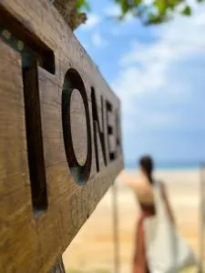 Tonea's Houses - Himare