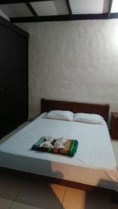 Apartasuites Medellin Laureles Nogal