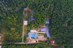 The Spectrum Resort - Chikmagalur - Attigundi