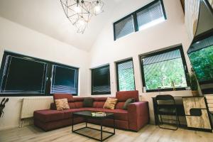 Dream holiday at Balaton lake