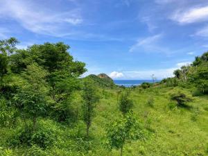 The Watch House - Gerupuk Bay Lombok